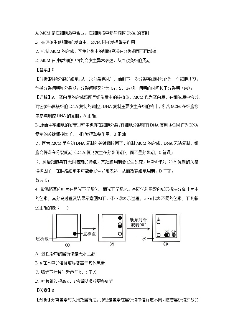 山西省太原市2024-2025学年高三下学期模拟考试生物试卷（解析版）第3页