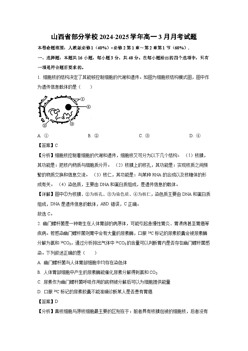 山西省部分学校2024-2025学年高一3月月考生物试题（解析版）第1页