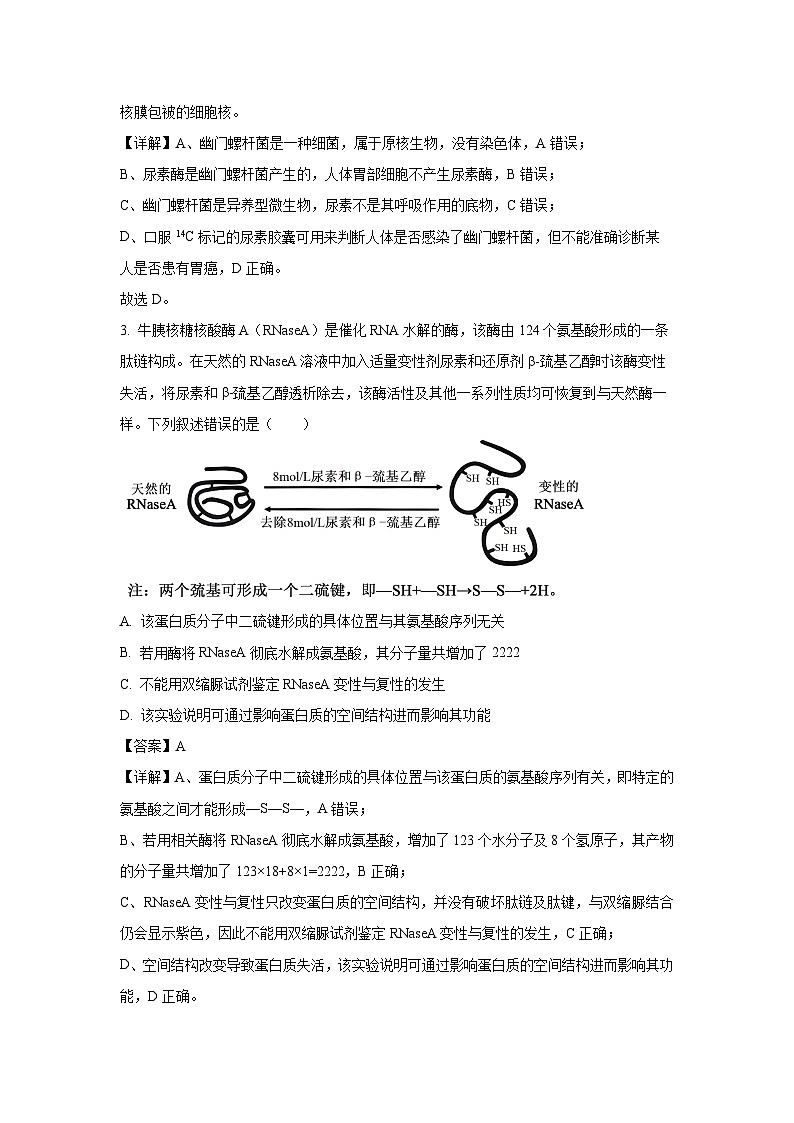 山西省部分学校2024-2025学年高一3月月考生物试题（解析版）第2页