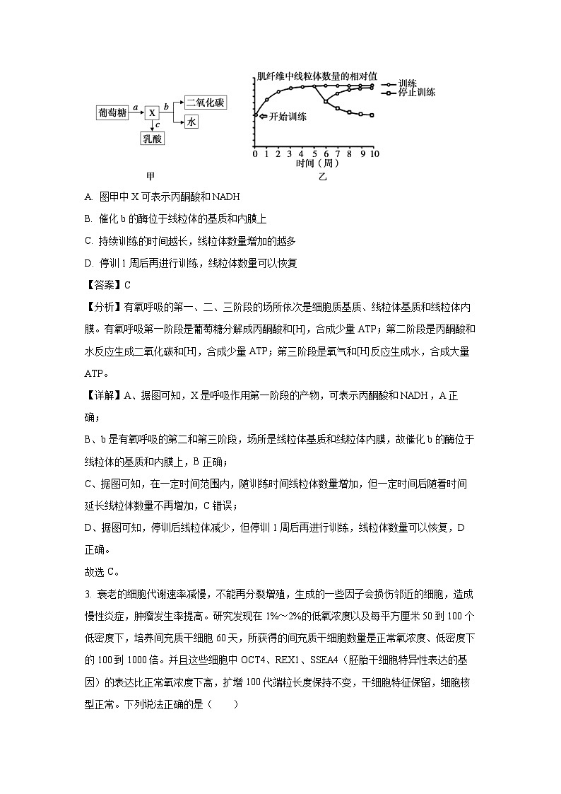 山东省泰安市2024-2025学年高三上学期1月期末考试A生物（解析版）第2页