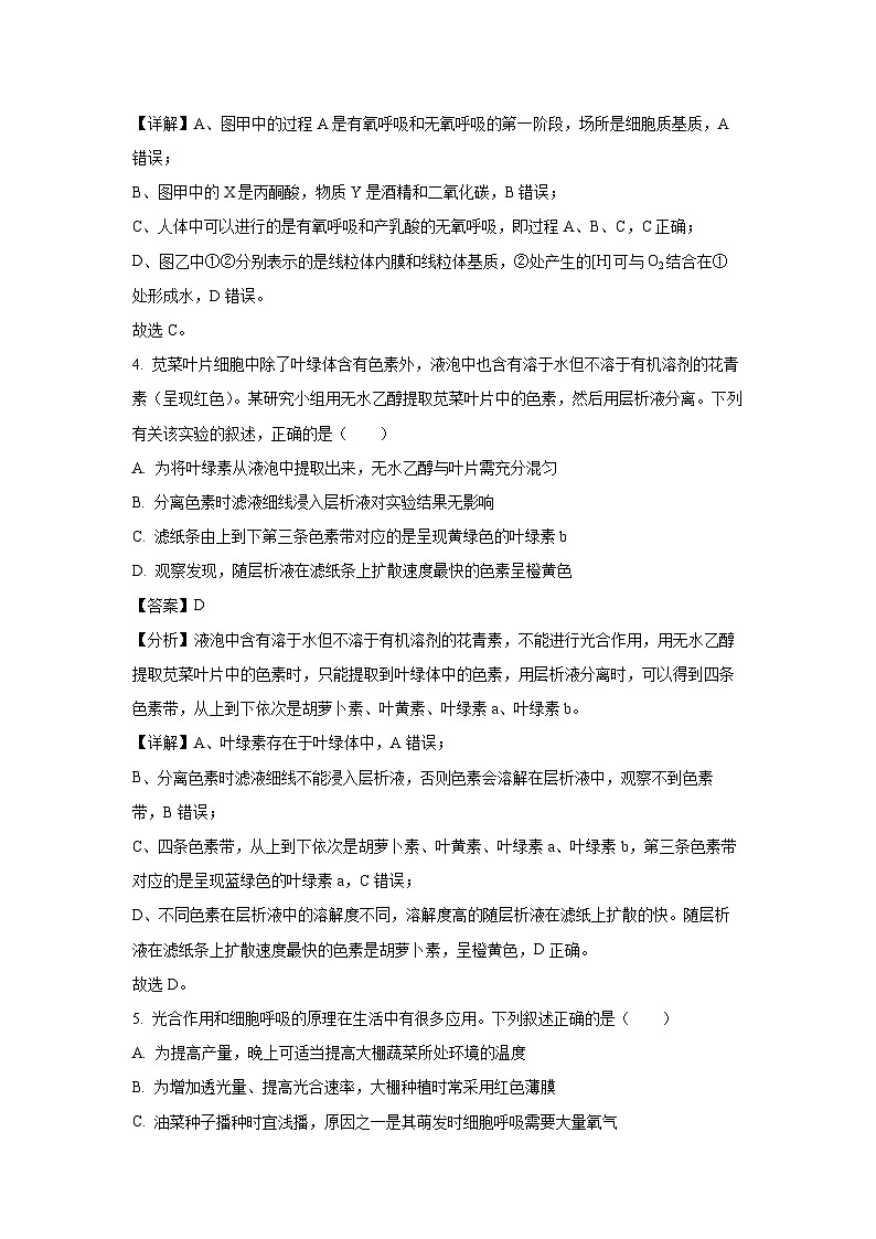 安徽省部分学校2024-2025学年度高一下学期3月联考学生物试卷（解析版）第3页