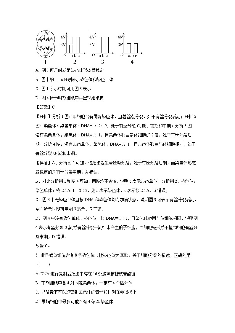 四川省成都市锦江区四川省成都市石室天府中学2024-2025学年高一下学期3月月考生物试题（解析版）第3页