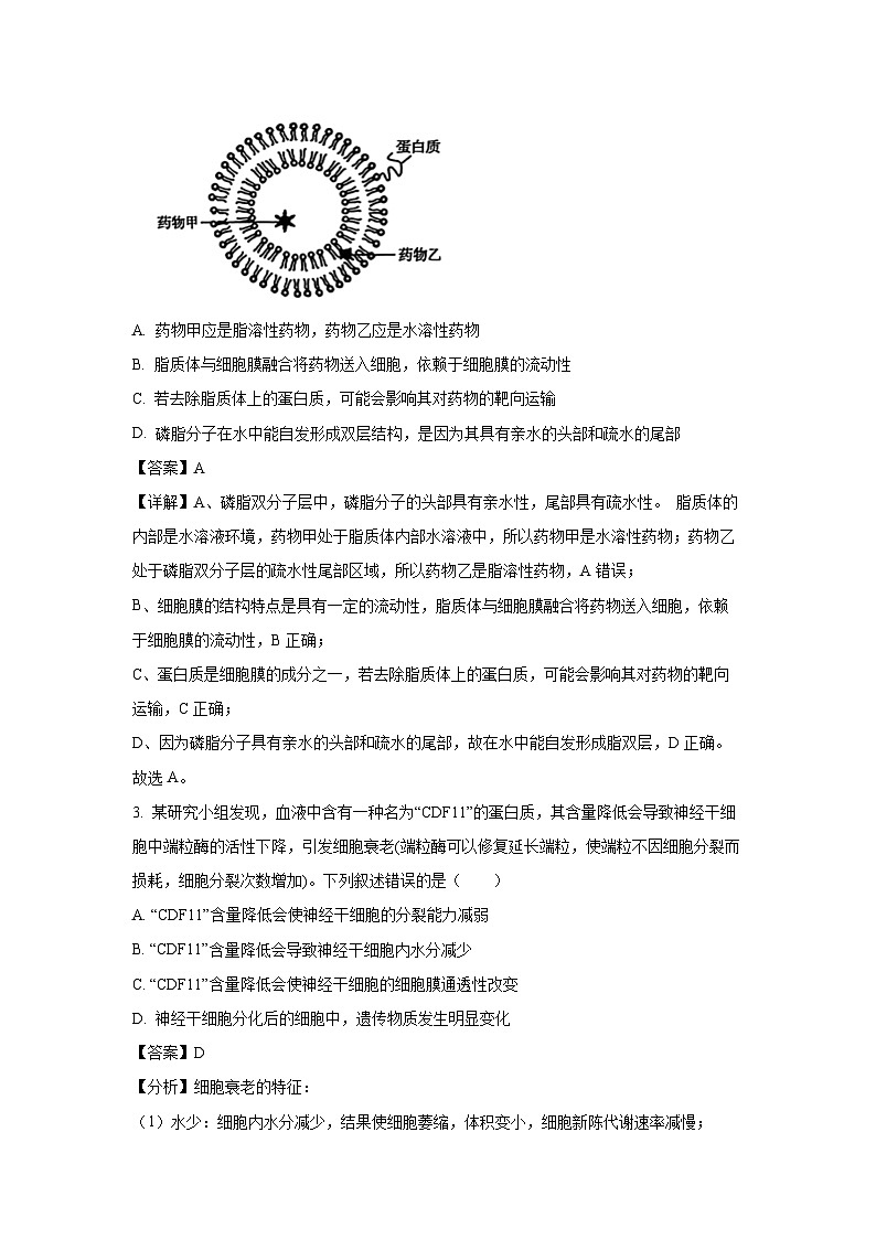 2025届青桐鸣高一下学期3月联考生物试题（解析版）第2页