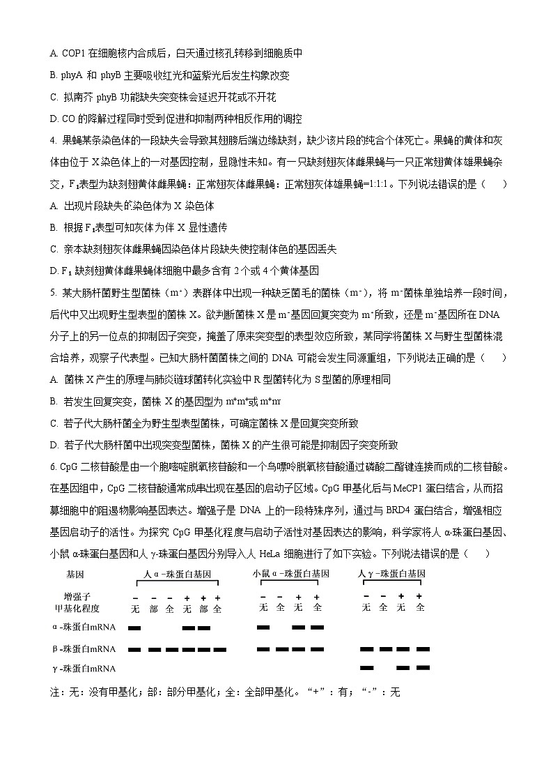 2025届山东省名校考试联盟高三下学期4月模拟考试生物试题（原卷版+解析版）（高考模拟）第2页