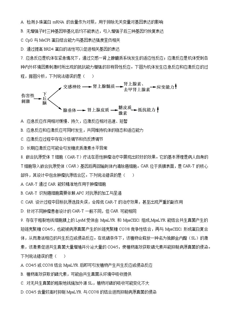2025届山东省名校考试联盟高三下学期4月模拟考试生物试题（原卷版+解析版）（高考模拟）第3页