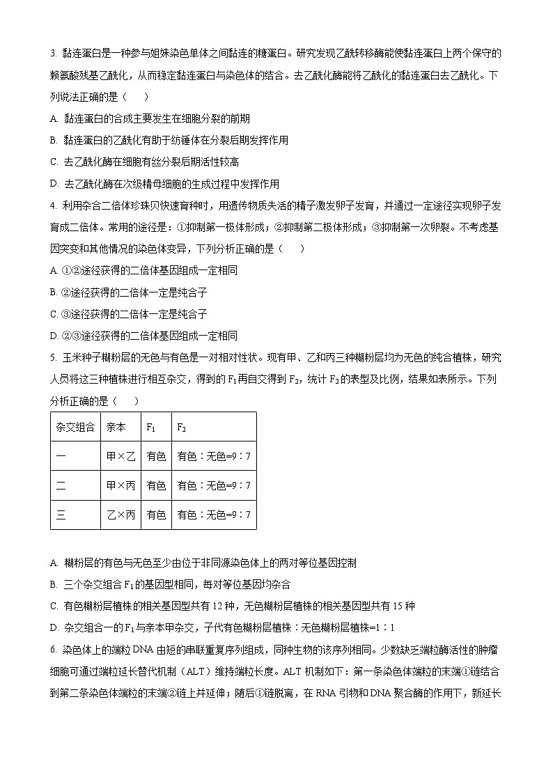 2025届山东省泰安市高三二模生物试题（原卷版+解析版）（高考模拟）第2页