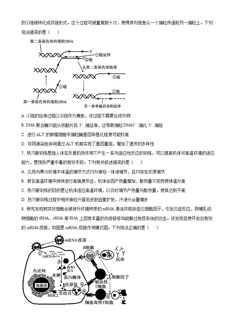 2025届山东省泰安市高三二模生物试题（原卷版+解析版）（高考模拟）第3页