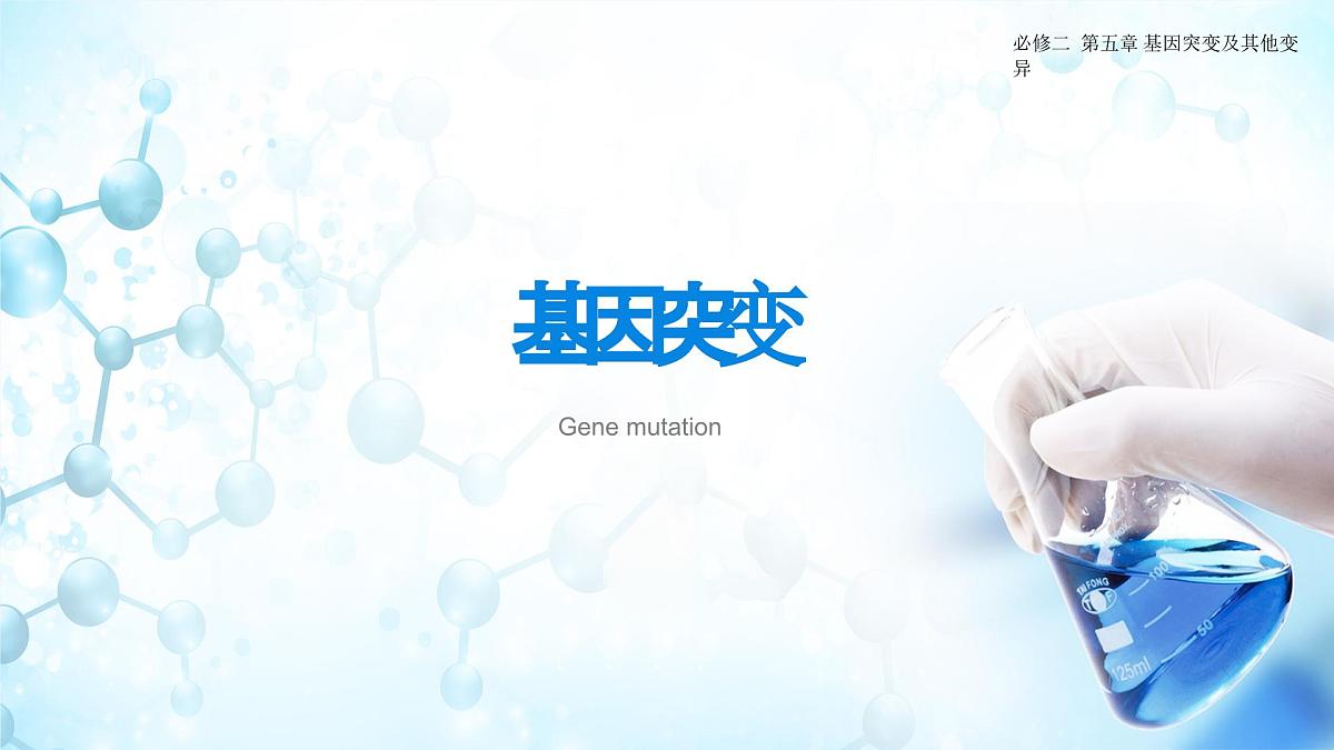 人教版（2019）高中生物必修二《遗传与进化》第5章基因突变及其他变异5.1《基因突变和基因重组》-课件第4页