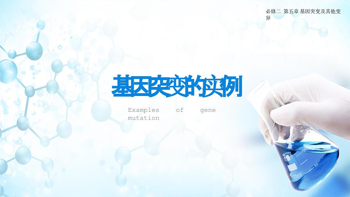 人教版（2019）高中生物必修二《遗传与进化》第5章基因突变及其他变异5.1《基因突变和基因重组》-课件第7页