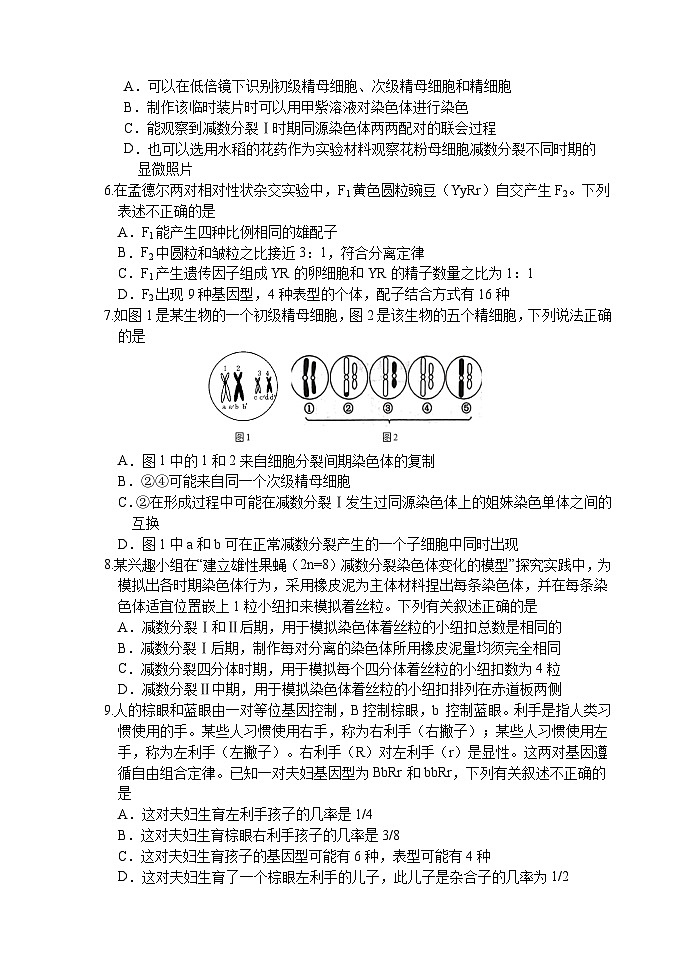天津市静海区第一中学2023-2024学年高一下学期3月月考生物试题（含答案）第2页
