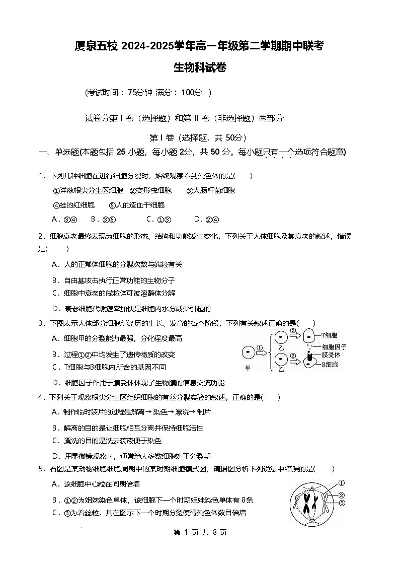福建省厦泉五校2024-2025学年高一下学期4月期中考试 生物 含答案第1页