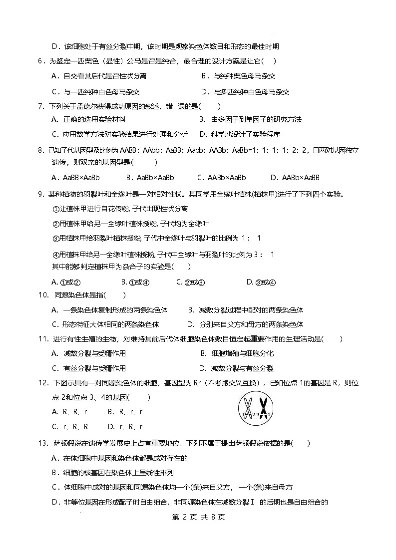 福建省厦泉五校2024-2025学年高一下学期4月期中考试 生物 含答案第2页