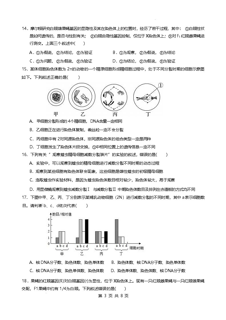 福建省厦泉五校2024-2025学年高一下学期4月期中考试 生物 含答案第3页