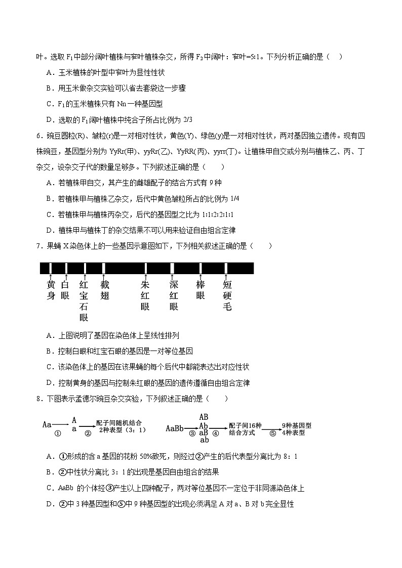 福建省漳州市乙丙级联盟校2024-2025学年高一下学期期中考试 生物 含答案第2页