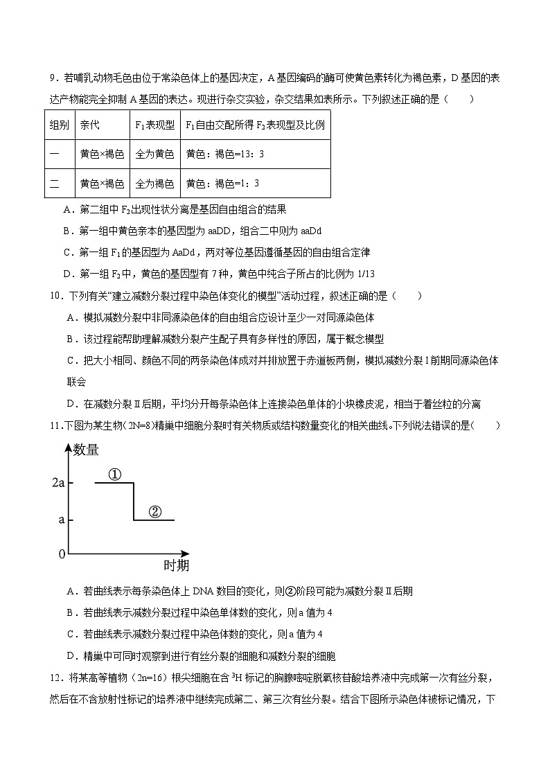 福建省漳州市乙丙级联盟校2024-2025学年高一下学期期中考试 生物 含答案第3页