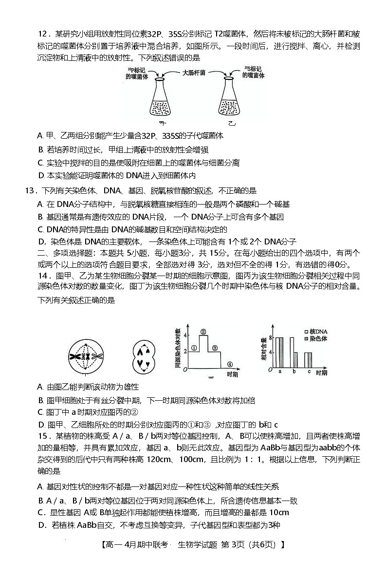 河北省保定市六校联盟2024-2025学年高一下学期4月期中考试 生物 含答案第3页