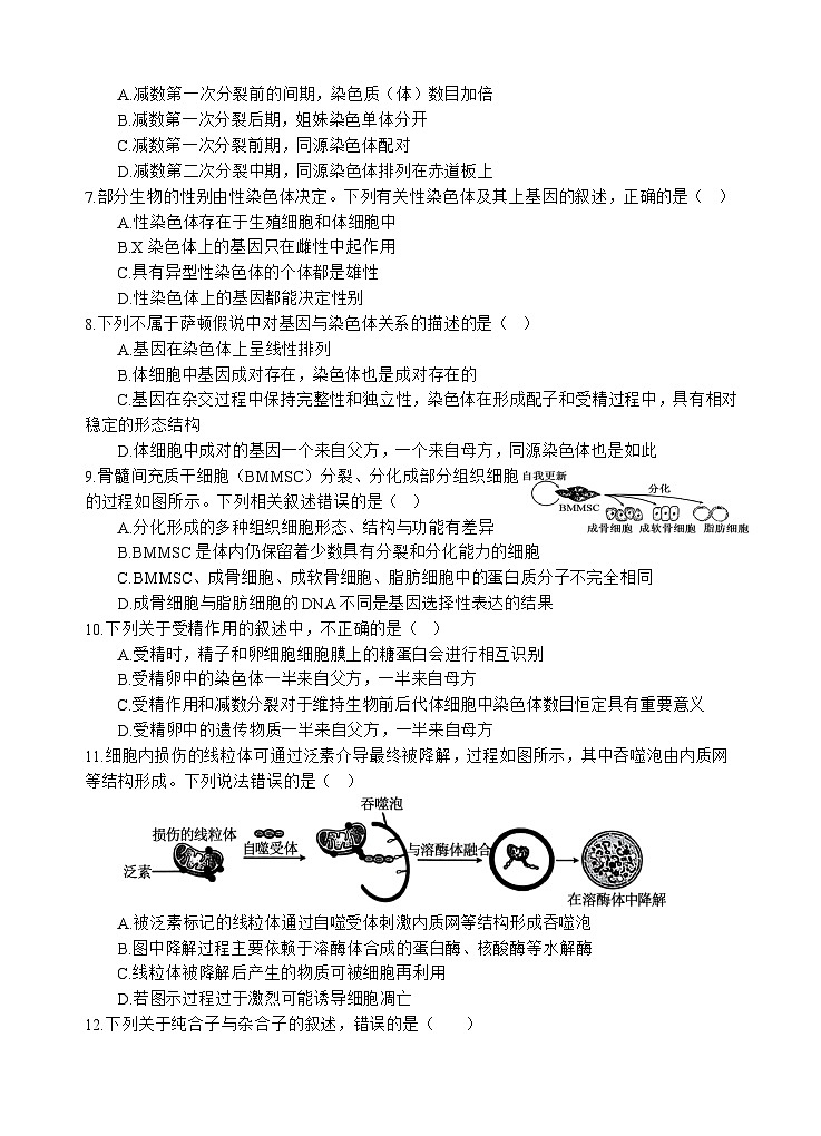 四川省遂宁市射洪中学2024-2025学年高一下学期期中考试 生物 含答案第2页