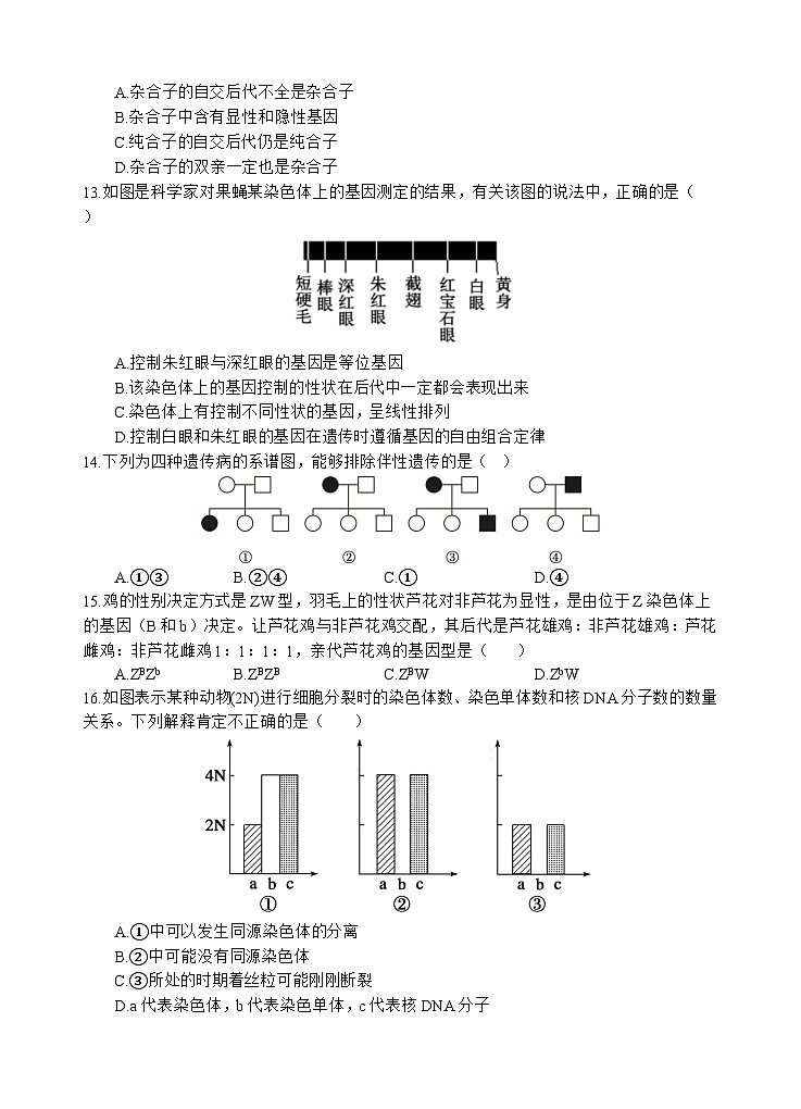 四川省遂宁市射洪中学2024-2025学年高一下学期期中考试 生物 含答案第3页