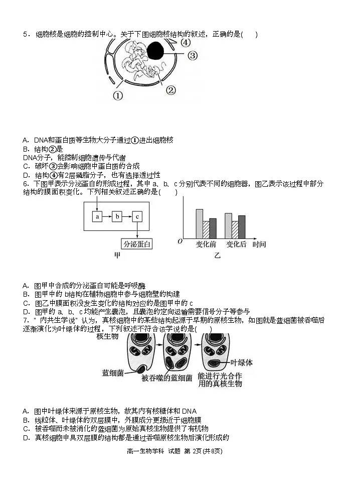 浙江省温州新力量联盟2024-2025学年高一下学期4月期中联考试题 生物 含答案第2页