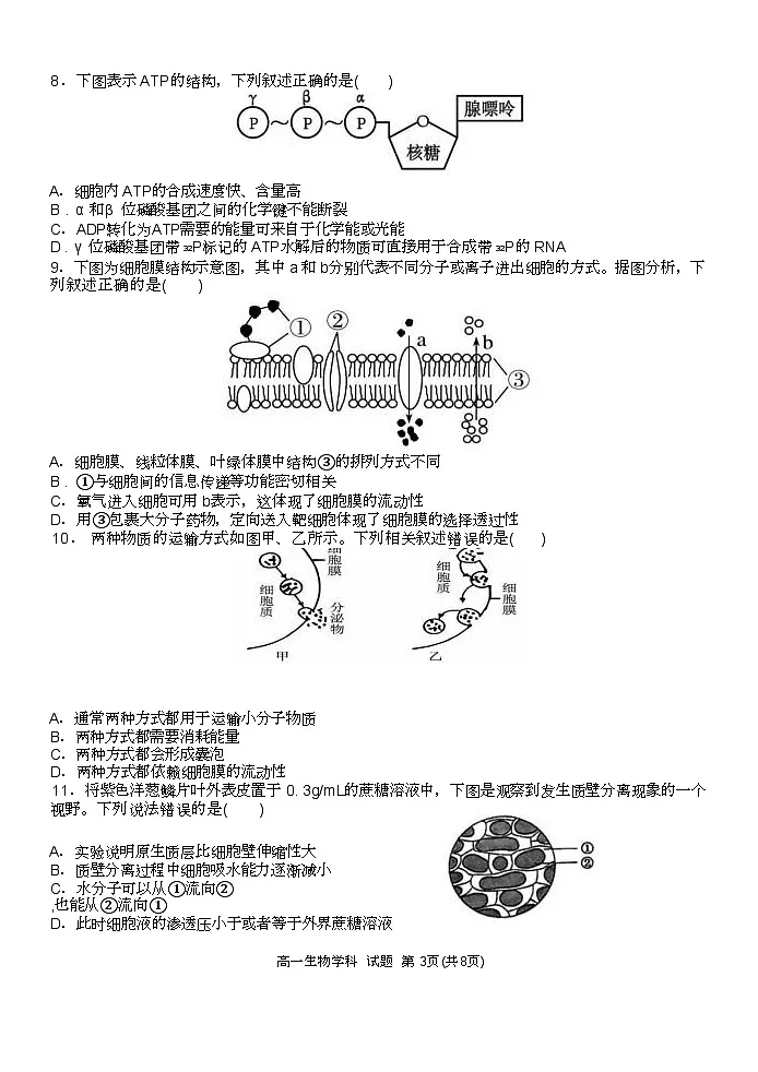 浙江省温州新力量联盟2024-2025学年高一下学期4月期中联考试题 生物 含答案第3页