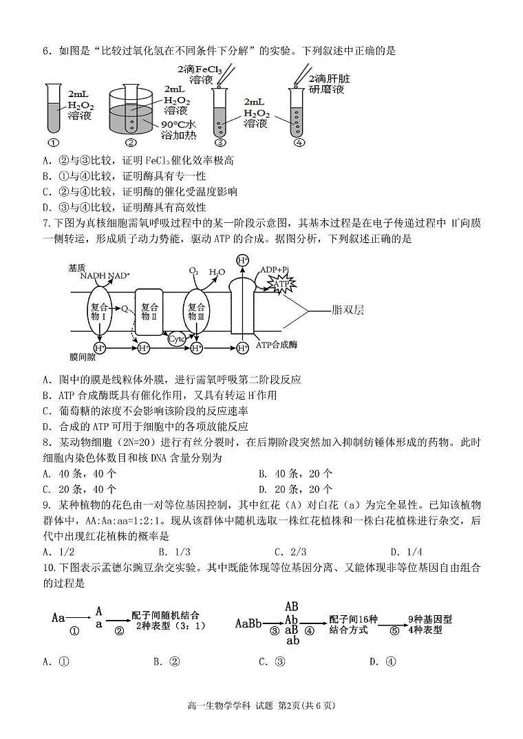 浙江省浙里特色联盟2024-2025学年高一下学期4月期中考试 生物 PDF版含答案第2页