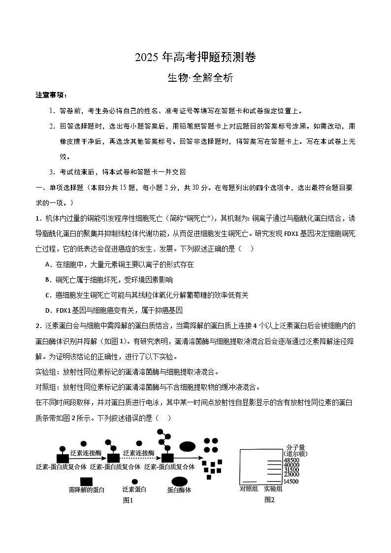 2025年高考押题预测卷：生物（黑吉辽蒙卷01）（考试版）第1页