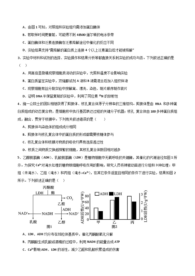 2025年高考押题预测卷：生物（黑吉辽蒙卷01）（考试版）第2页