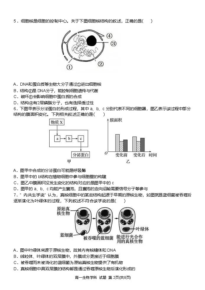 浙江省温州新力量联盟2024-2025学年高一下学期4月期中联考生物试卷第2页