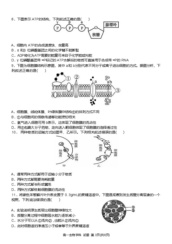 浙江省温州新力量联盟2024-2025学年高一下学期4月期中联考生物试卷第3页