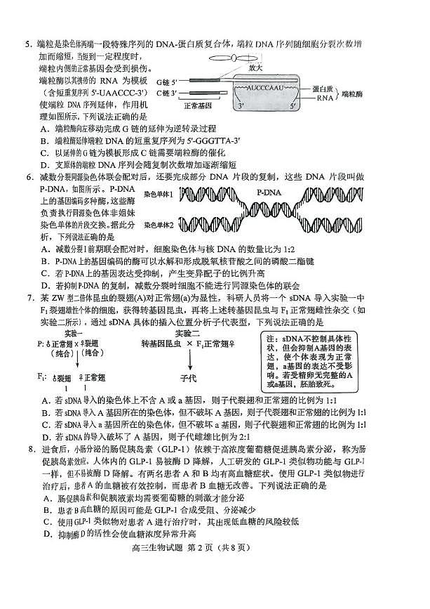 2025年山东省菏泽市高三高考生物二模试题及其答案第2页