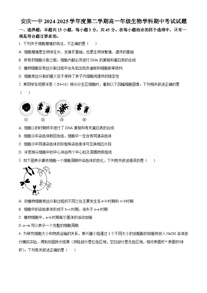 安徽省安庆市第一中学2024-2025学年高一下学期期中考试生物试题（原卷版+解析版）第1页