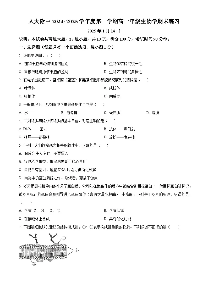 北京市中国人民大学附属中学2024-2025学年高一上学期1月期末生物试题（原卷版+解析版）第1页
