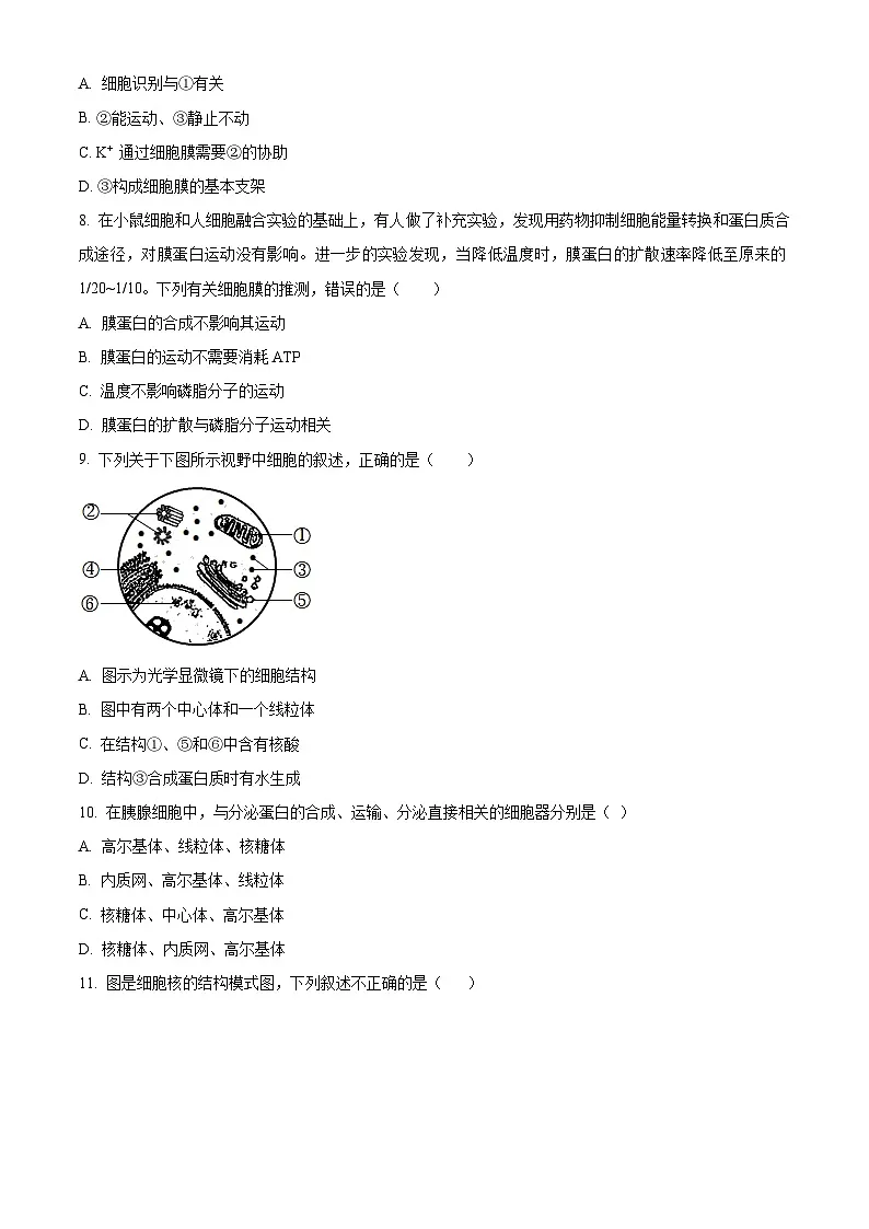 北京市中国人民大学附属中学2024-2025学年高一上学期1月期末生物试题（原卷版+解析版）第2页