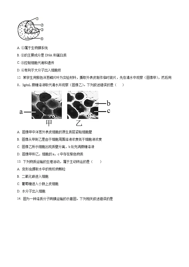 北京市中国人民大学附属中学2024-2025学年高一上学期1月期末生物试题（原卷版+解析版）第3页