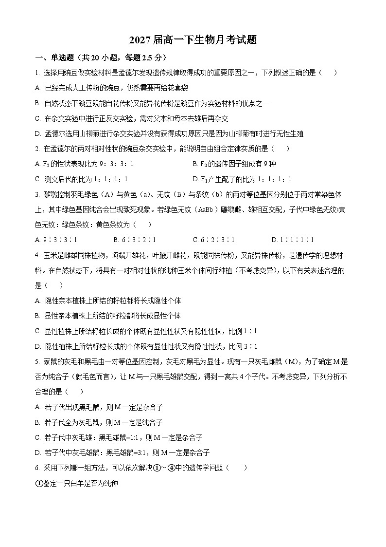 福建省龙岩市长汀县福建省长汀县第一中学2024-2025学年高一下学期3月月考生物试题（原卷版+解析版）第1页