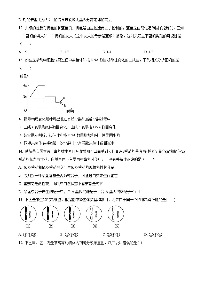 福建省龙岩市长汀县福建省长汀县第一中学2024-2025学年高一下学期3月月考生物试题（原卷版+解析版）第3页