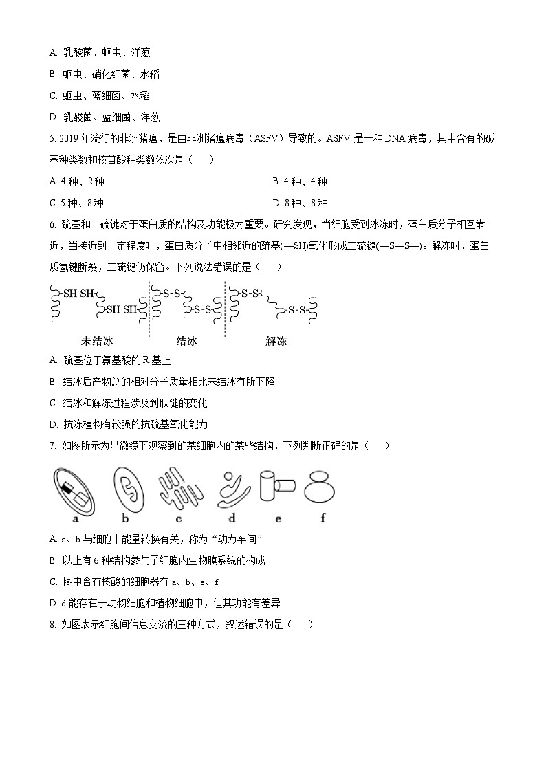 福建省宁德市柘荣县第一中学2024-2025学年高一下学期3月月考生物试题（原卷版+解析版）第2页