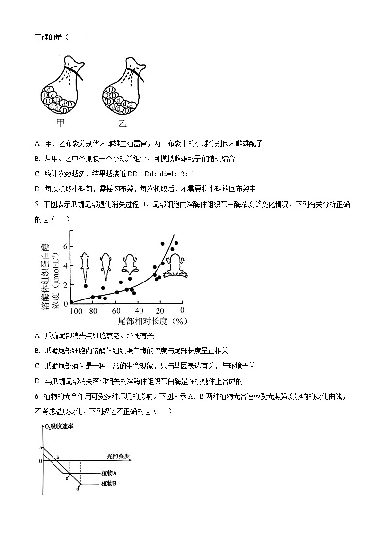 甘肃省兰州第一中学2024-2025学年高一下学期3月月考生物试题（原卷版+解析版）第2页