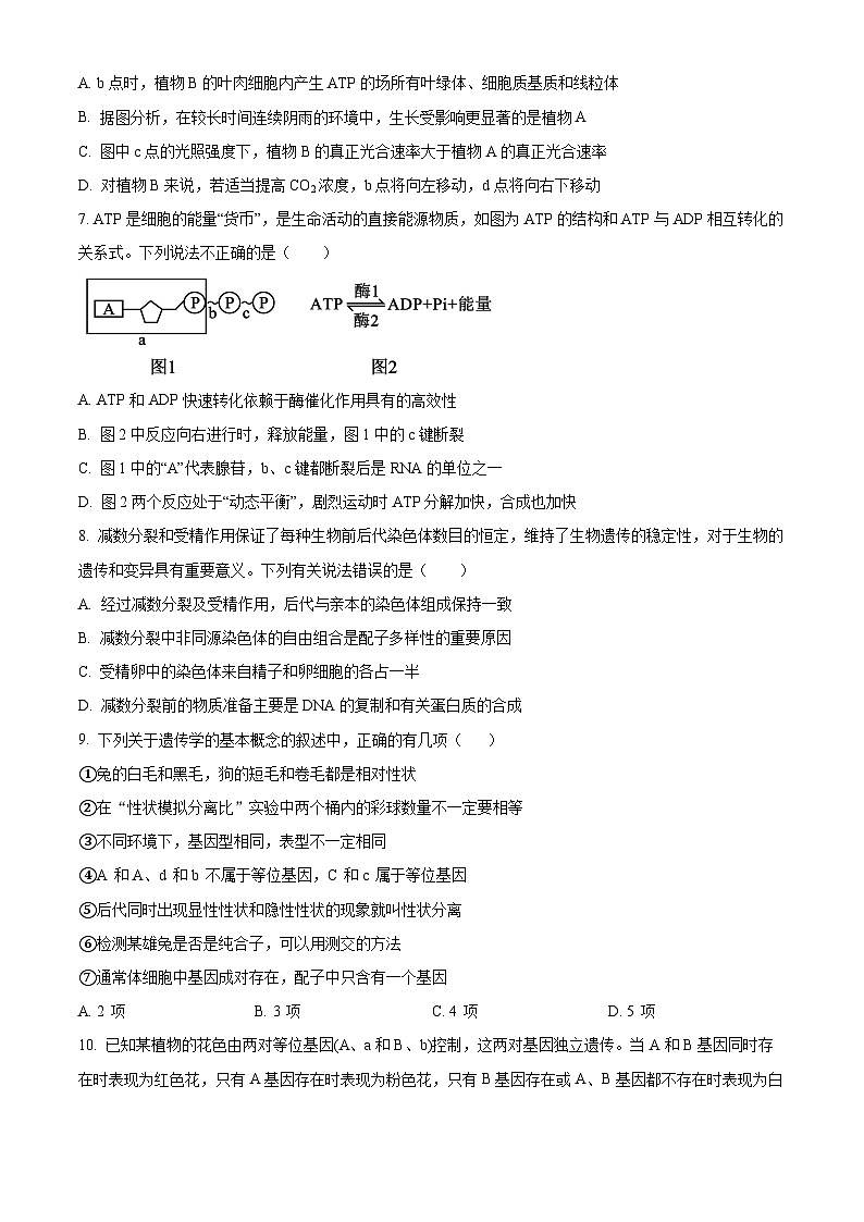 甘肃省兰州第一中学2024-2025学年高一下学期3月月考生物试题（原卷版+解析版）第3页