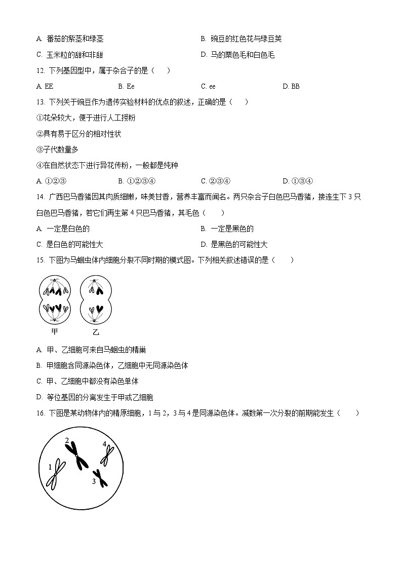 甘肃省天水市秦州区天水市第一中学2024-2025学年高一下学期4月月考生物试题（原卷版+解析版）第3页