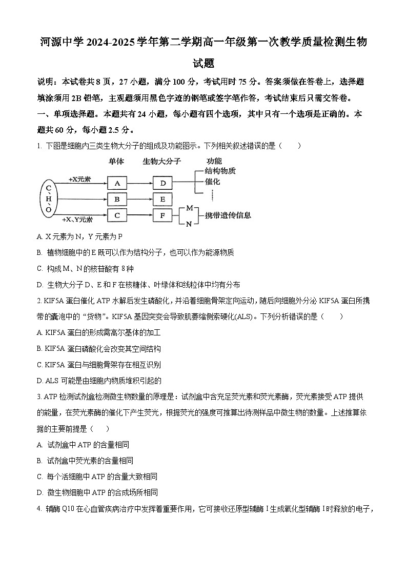 广东省河源市河源中学2024-2025学年高一下学期3月月考生物试题（原卷版+解析版）第1页