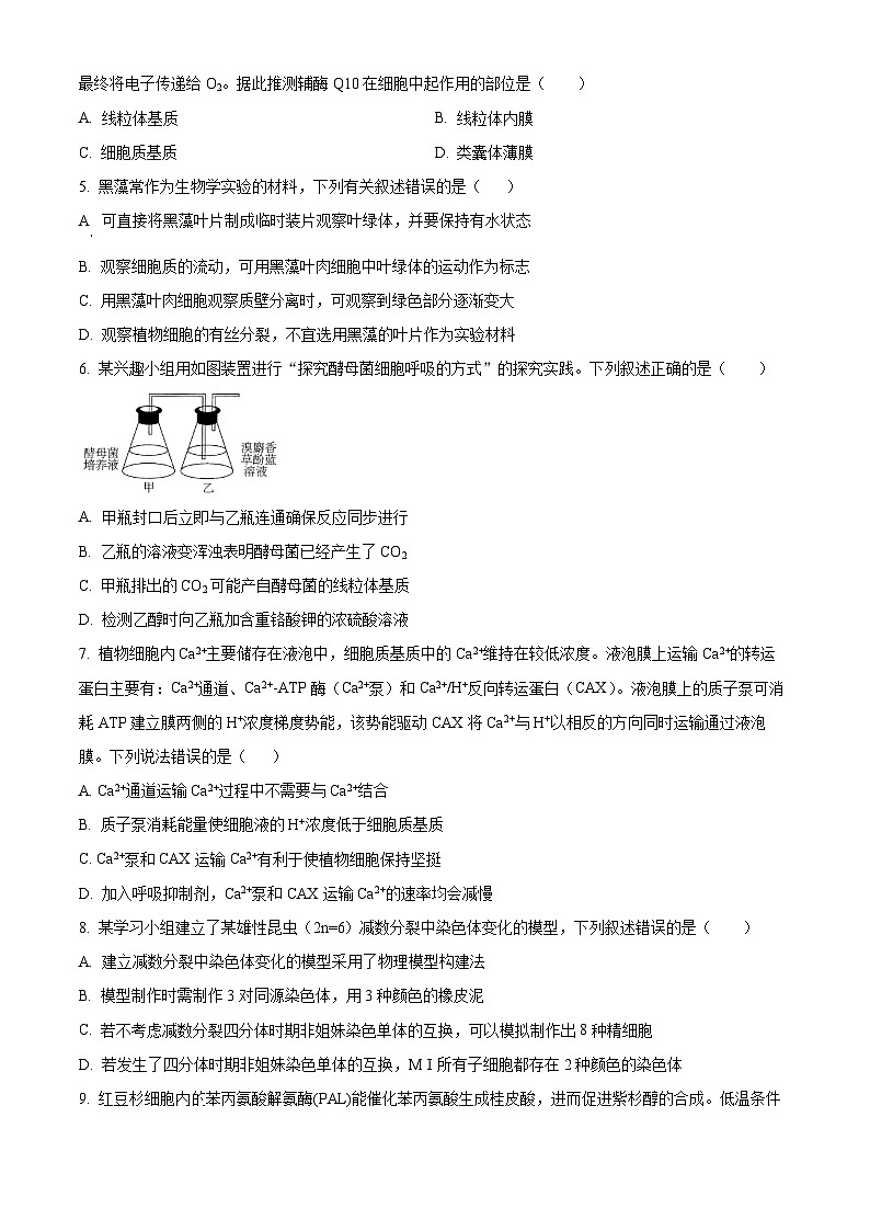 广东省河源市河源中学2024-2025学年高一下学期3月月考生物试题（原卷版+解析版）第2页