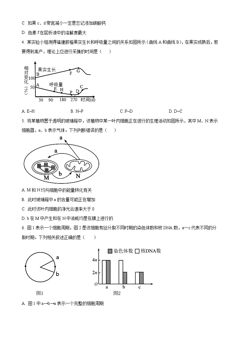 广东省惠州仲恺中学等五校2024-2025学年高一下学期4月联考生物试卷（原卷版+解析版）第2页
