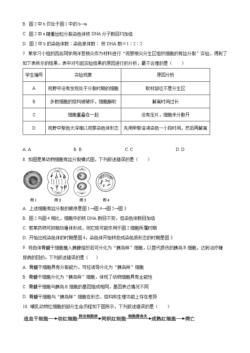 广东省惠州仲恺中学等五校2024-2025学年高一下学期4月联考生物试卷（原卷版+解析版）第3页