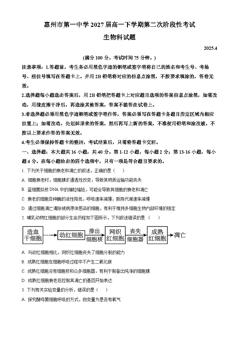 广东省惠州市惠城区惠州市第一中学2024-2025学年高一下学期4月期中生物试题（原卷版+解析版）第1页