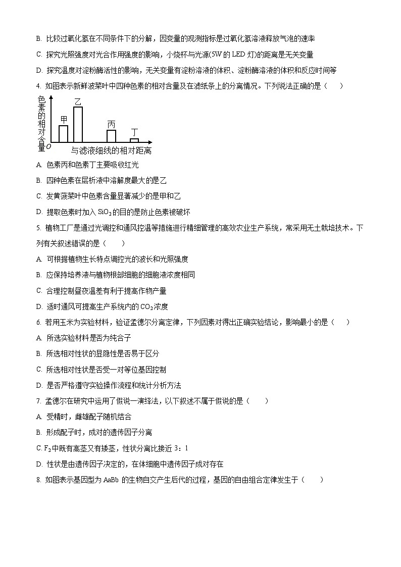 广东省惠州市惠城区惠州市第一中学2024-2025学年高一下学期4月期中生物试题（原卷版+解析版）第2页