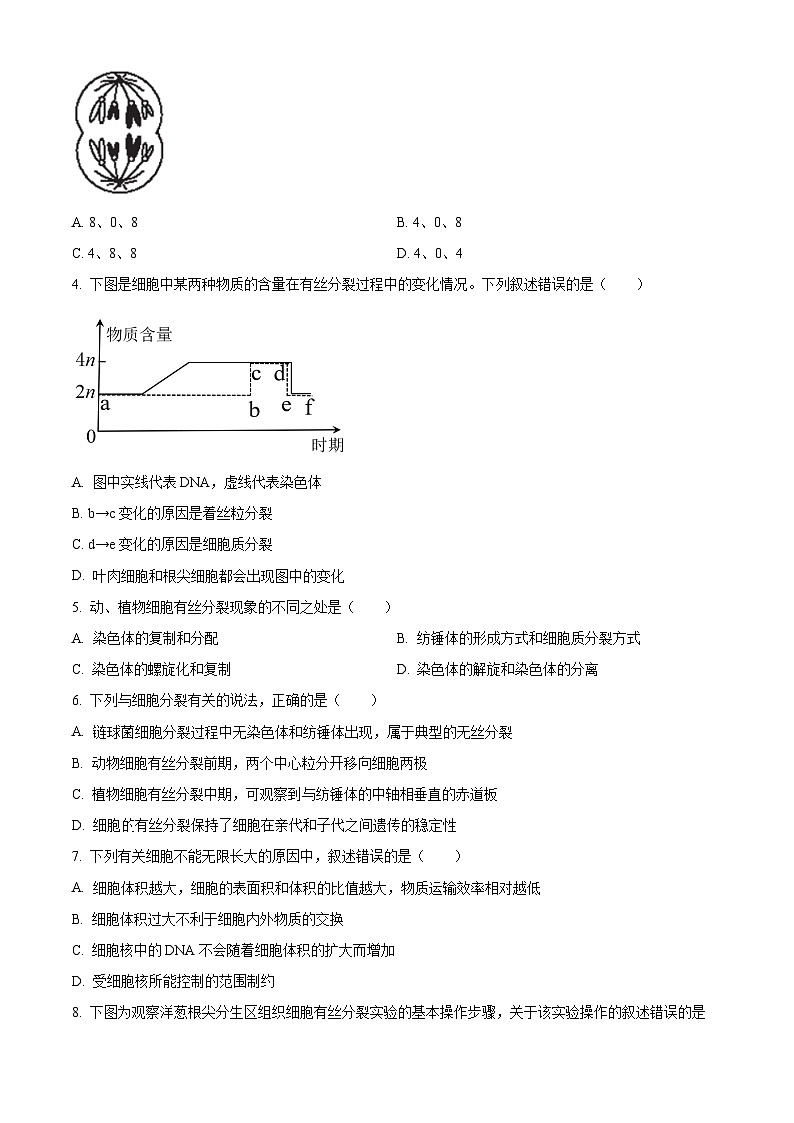 广东省深圳市光明区高级中学2024-2025学年高一下学期3月月考生物试题（原卷版+解析版）第2页