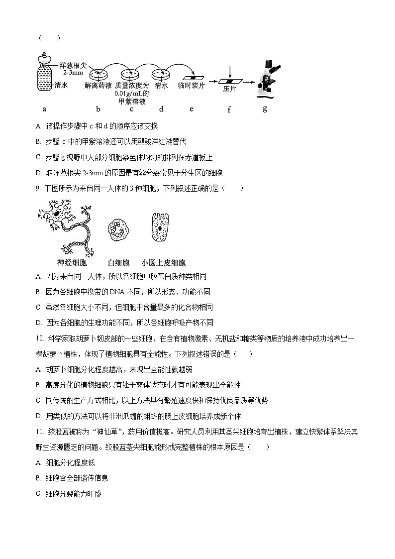 广东省深圳市光明区高级中学2024-2025学年高一下学期3月月考生物试题（原卷版+解析版）第3页
