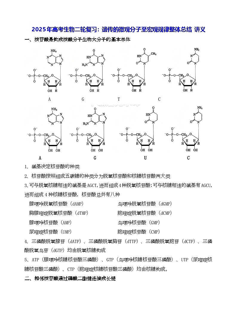 2025年高考生物二轮复习：遗传的微观分子至宏观规律整体总结 讲义第1页
