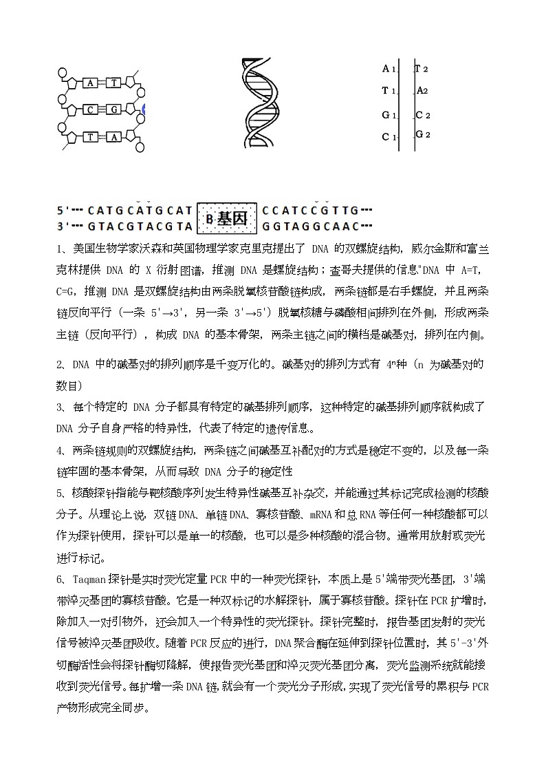 2025年高考生物二轮复习：遗传的微观分子至宏观规律整体总结 讲义第2页